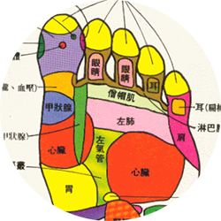 足底反射區療法